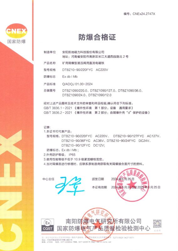 CNEx24.2747X DTBZ10-90FYC I Ч2029625